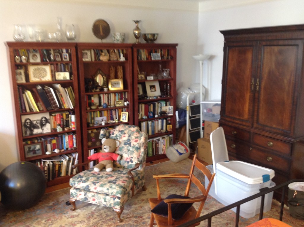 Bookcases and Living Room